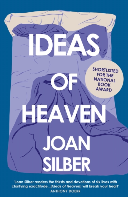 Ideas of Heaven - Joan Silber