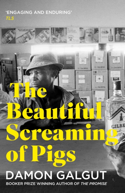 Beautiful Screaming of Pigs - Damon Galgut