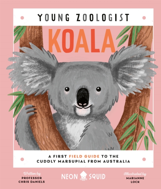 Koala (Young Zoologist) - Chris|neon Squid Daniels