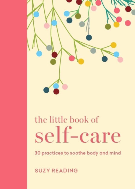 Little Book of Self-care - Suzy Reading