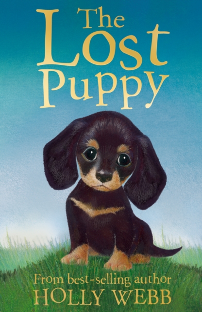 The Lost Puppy - Holly Webb