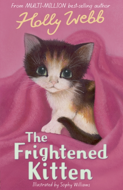 The Frightened Kitten - Holly Webb