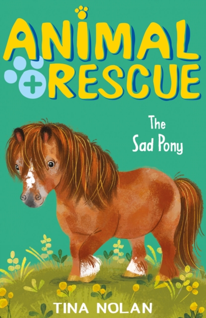 The Sad Pony - Tina Nolan