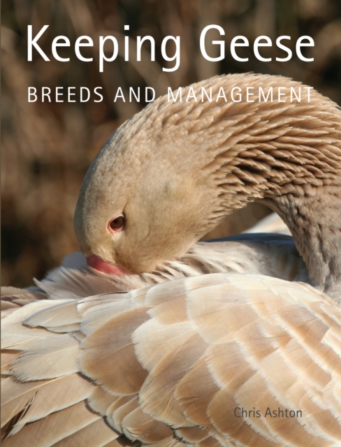 Keeping Geese - Chris Ashton