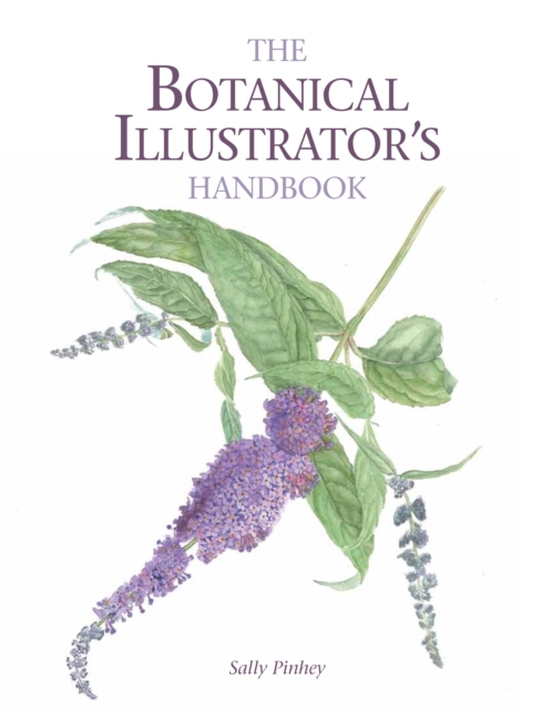 Botanical Illustrator's Handbook - Sally Pinhey