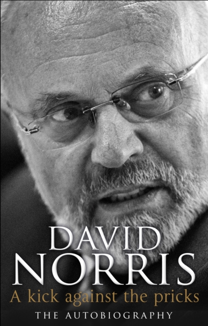 Kick Against The Pricks - David Norris