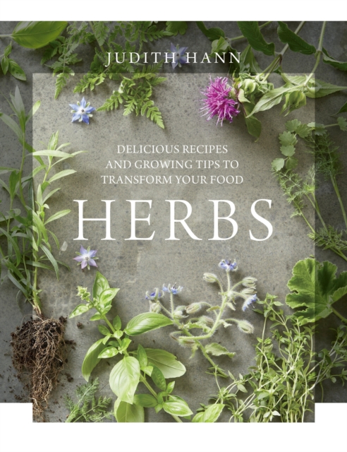 Herbs - Judith Hann