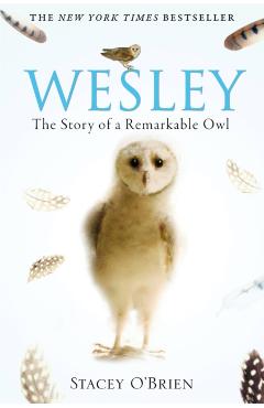 Poza produsului Wesley - Stacey O'brien