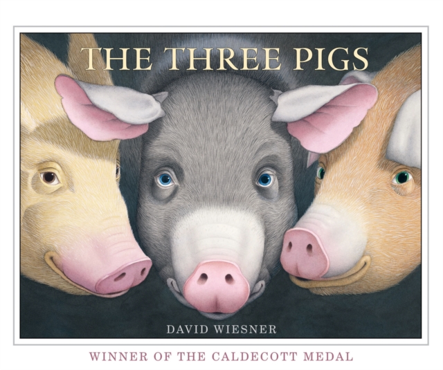 Three Pigs - David Wiesner