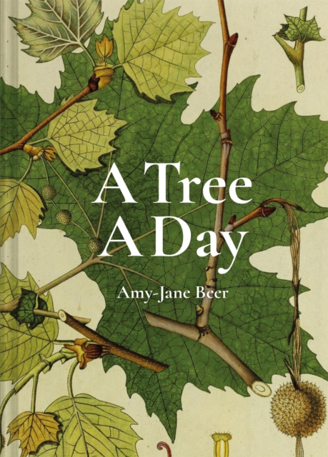 Tree A Day - Amy-jane Beer