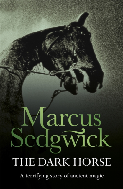 Dark Horse - Marcus Sedgwick