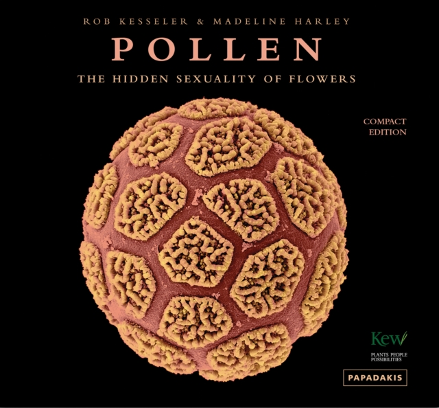 Pollen - Rob|harley Kesseler