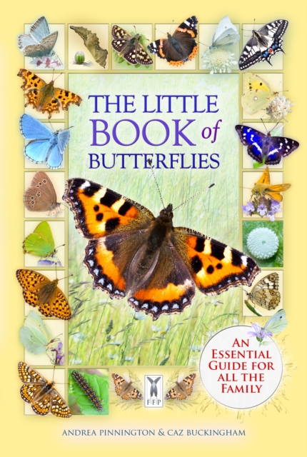 Little Book of Butterflies - Andrea|buckingham Pinnington