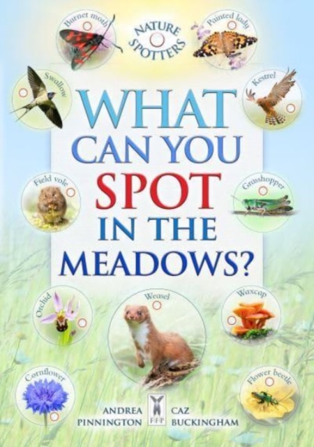 What Can You Spot in the Meadows? - Caz|hoare Buckingham