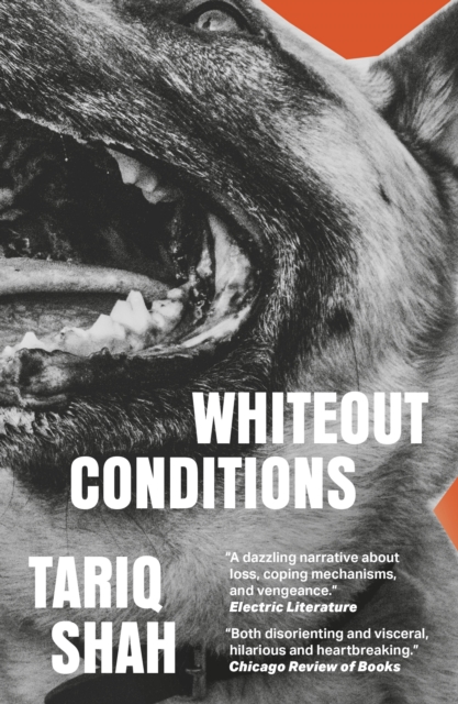 Whiteout Conditions - Tariq Shah