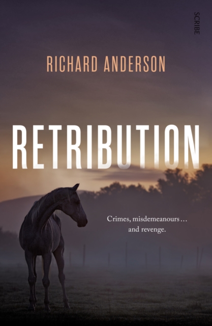 Coperta cărții 'Retribution - Richard Anderson'
