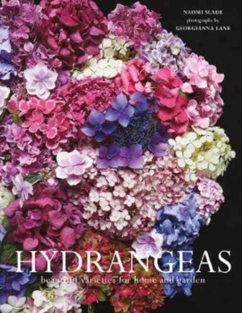 Hydrangeas - Naomi Slade