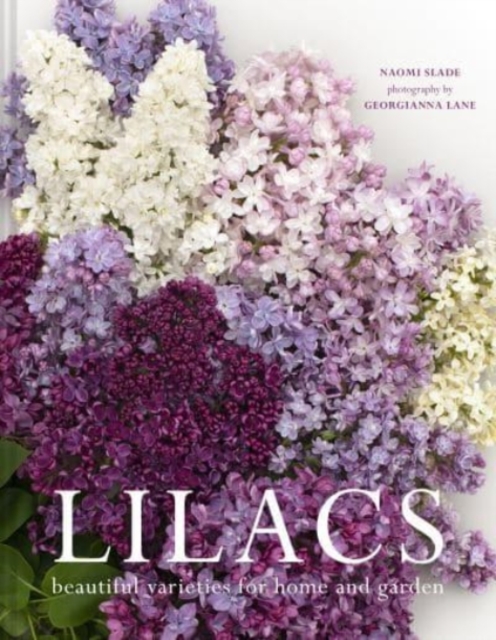 Lilacs - Naomi|slade Slade