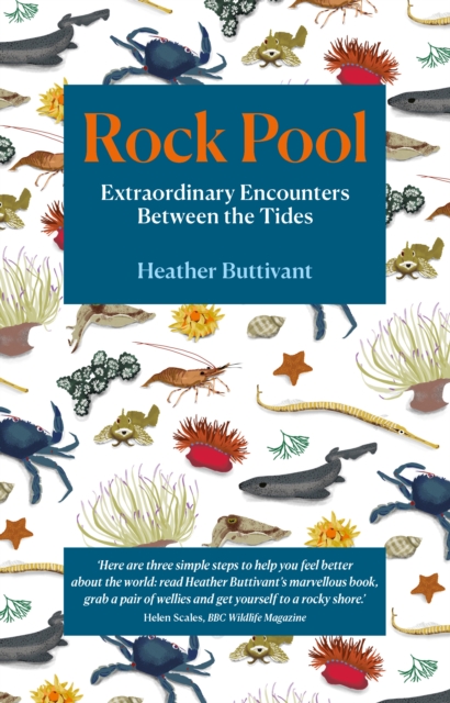 Rock Pool - Heather Buttivant