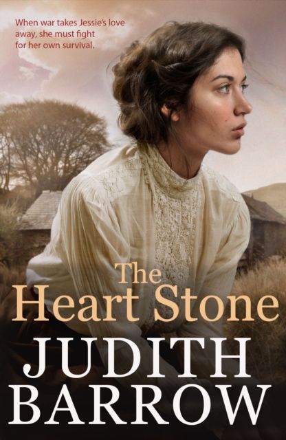 Heart Stone - Judith Barrow