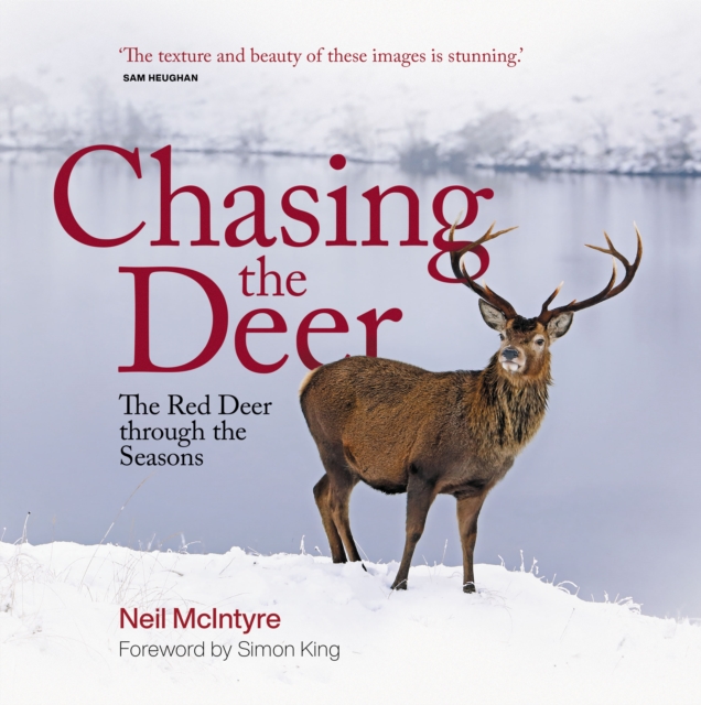Chasing the Deer - Neil Mcintyre