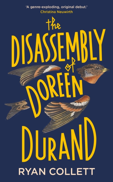 Disassembly of Doreen Durand - Ryan Collett
