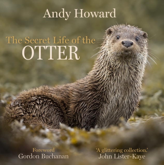 Secret Life of the Otter - Andy Howard