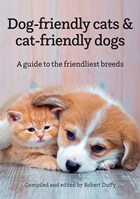 Dog-friendly cats & cat-friendly dogs - 