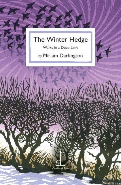 Winter Hedge - Miriam Darlington