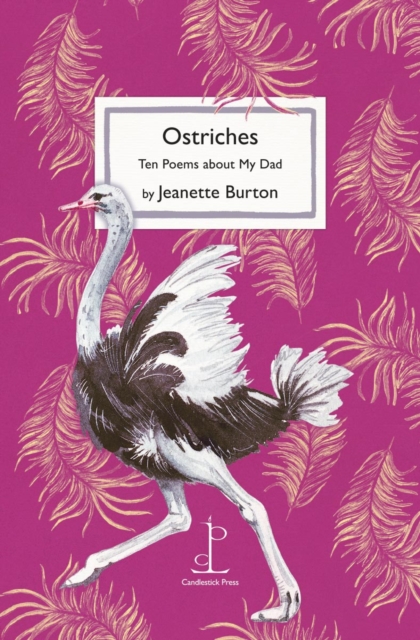 Ostriches - Jeanette Burton