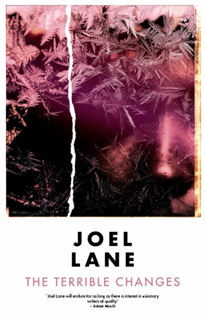 Terrible Changes - Joel Lane