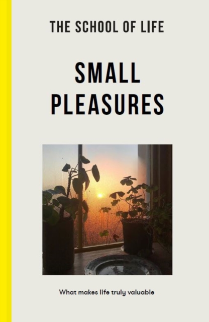 Small Pleasures - 