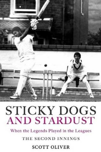 Coperta cărții 'Sticky Dogs and Stardust Volume 2 - Scott Oliver'