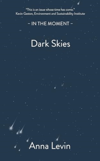 Dark Skies - Anna Levin