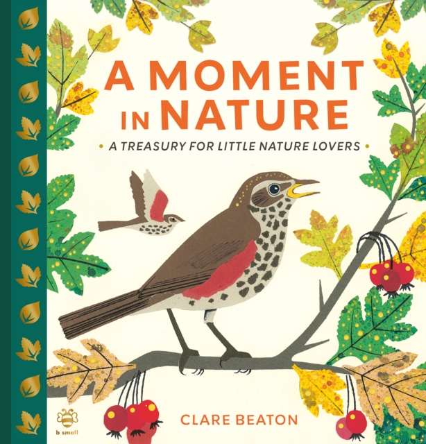 Moment in Nature - Clare Beaton