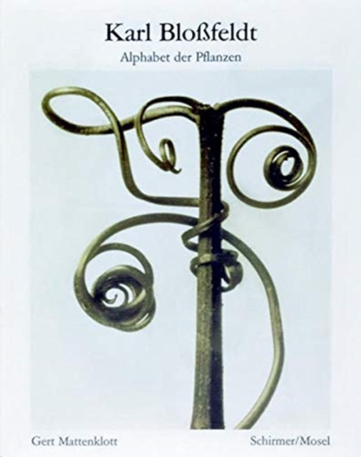 Karl Blossfeldt: Alphabet of Plants - 
