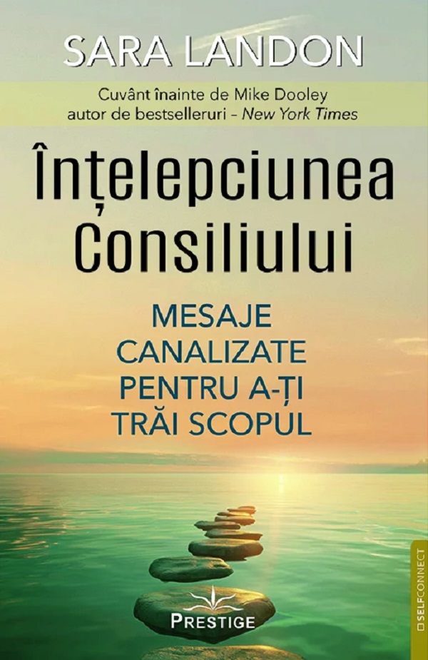 Intelepciunea Consiliului - Sara Landon