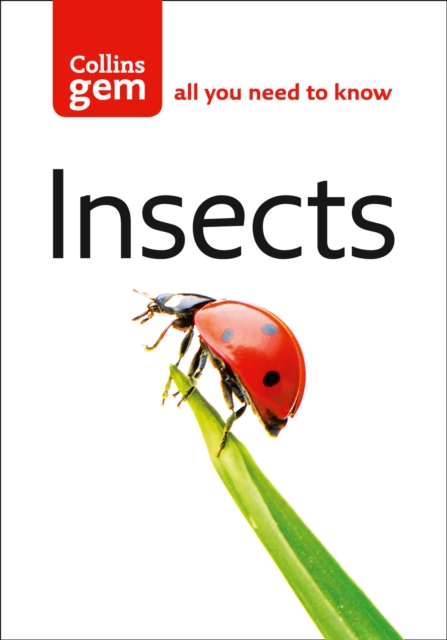 Insects - Michael Chinery