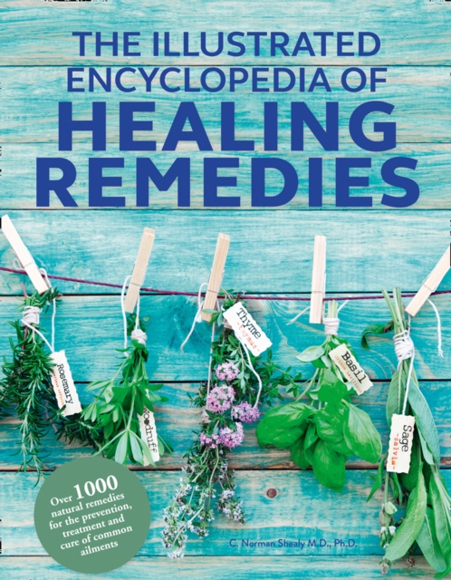 Healing Remedies, Updated Edition - M.d. Shealy