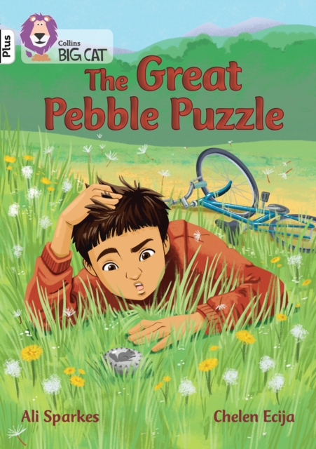 Great Pebble Puzzle - Ali Sparkes