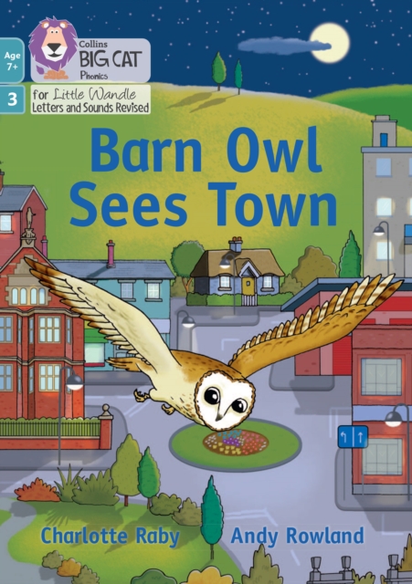 Barn Owl Sees Town - Charlotte Raby