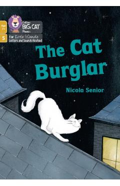 Coperta cărții 'Cat Burglar - Nicola Senior'