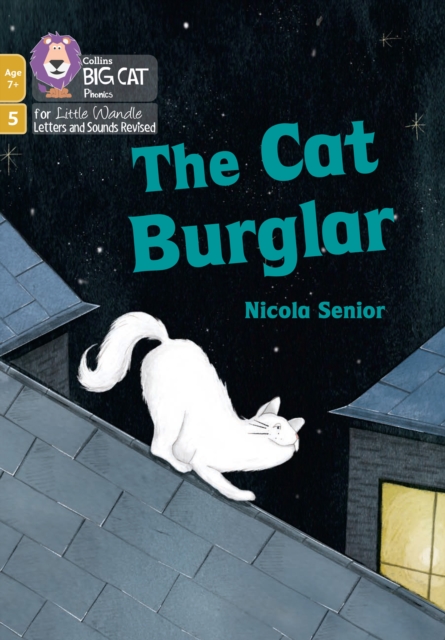 Coperta cărții 'Cat Burglar - Nicola Senior'