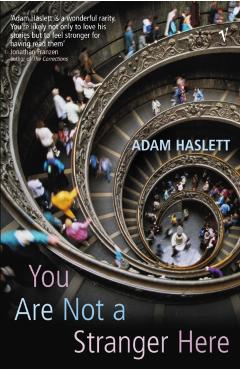 Coperta cărții 'You Are Not A Stranger Here? - Adam Haslett'