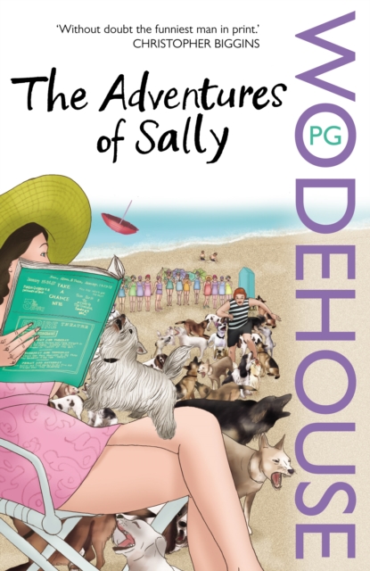 Adventures of Sally - P.g. Wodehouse