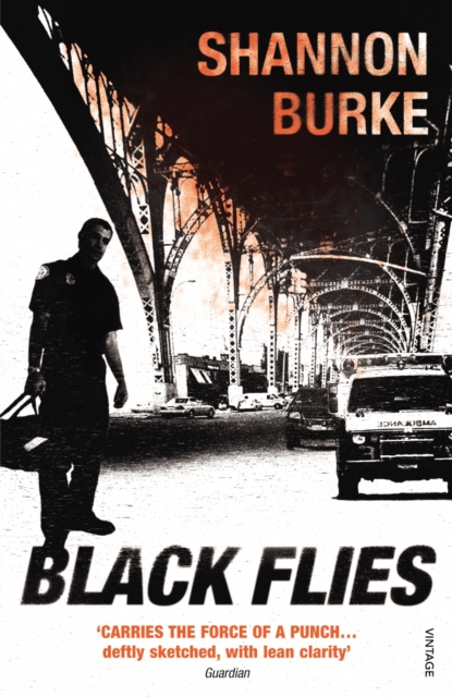 Coperta cărții 'Black Flies - Shannon Burke'