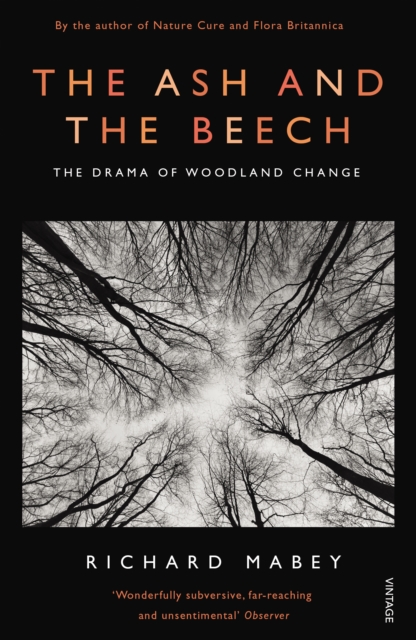 Ash and The Beech - Richard Mabey