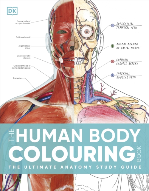 Human Body Colouring Book - 