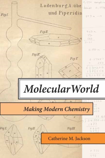Molecular World - Catherine M. Jackson