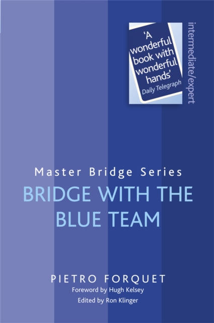 Bridge With The Blue Team - 